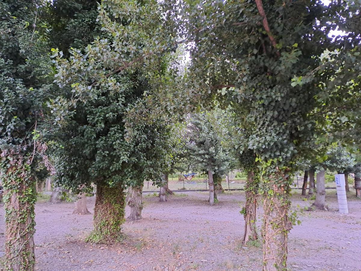 Camping Valle Del Andarax Fondon Екстер'єр фото